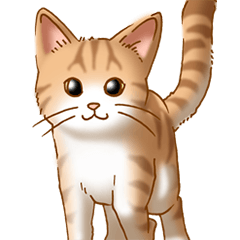 猫図鑑 茶白猫 Line スタンプ Line Store 猫図鑑 茶白猫 Line スタンプ Line Store