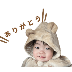 aripi_20260105032357