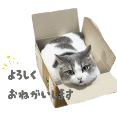 Karin_20260104224310