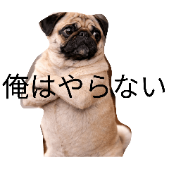 longchurros_20260105071209