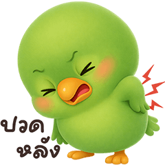 ❤️นกแก้ว ตัวตึง 2026❤️