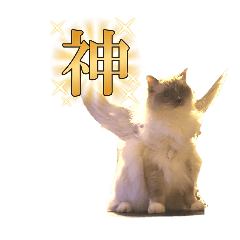 gintoki_20260105091043