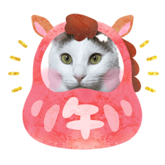 satomi_20260105092113