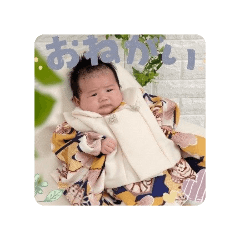 plankton_20260105141049