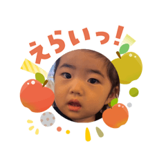 bomber_20260105100007