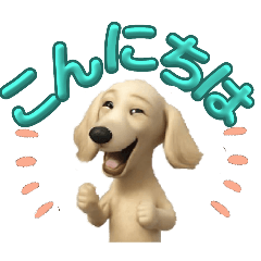 サルーキ♥好き[3D]便利.可愛い.大文字