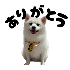 Mayuka_20260105131926