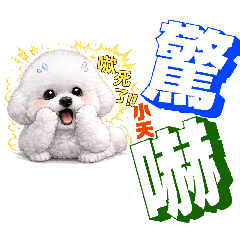 small_20260104104506