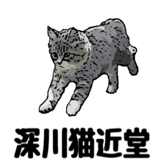 FukagawaNekoKondo Wandering Cat Lifeo