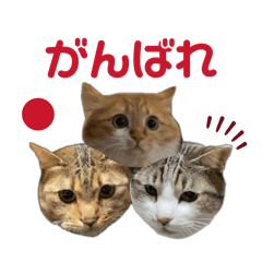 momococo_20260105135605