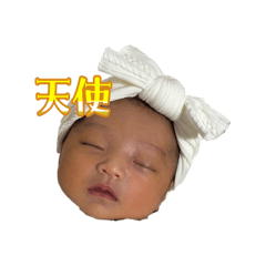 totochan_20260105120123