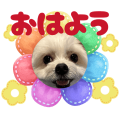 Yuuuu_20260105114216