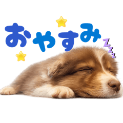 Akiho_20260105120712