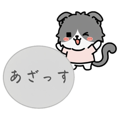 Nicosuki_20260105123757