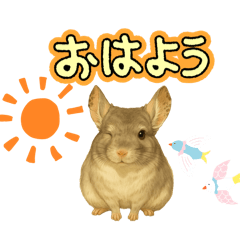 Matchan_20260105122940