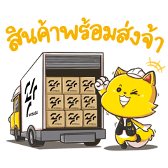 Cat Hardware
