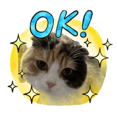 AYUMI_20260103205051