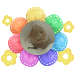 Shiori_20260105165254