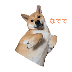 k_20260103221359