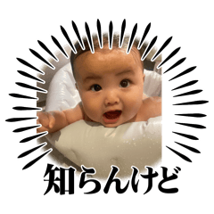 koko_2026010323