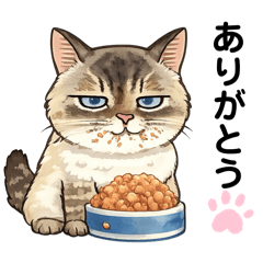 colin_20260103224846