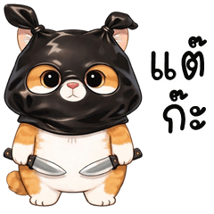 Orange Cat Bandit (Kum-muang)