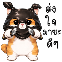 Orange Cat Bandit (THAI)