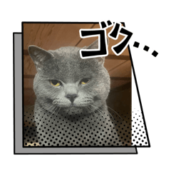 yukarin_20260105175003