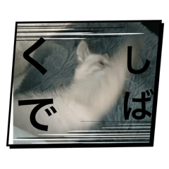 little_20260105174945