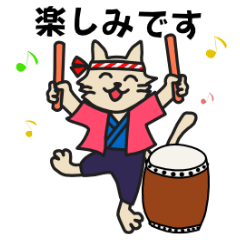 Japanese drumming cat