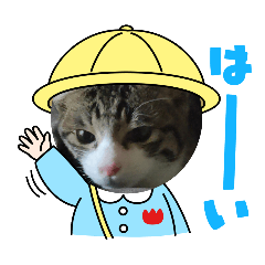 takanu-_20260105181844