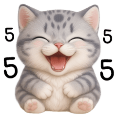 เหมี๊ยวลายเทา ตากลม น่ารัก