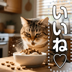 猫はカリカリが大好き♡