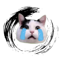 動く！踊る猫ミーム(パート31)