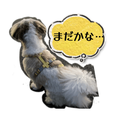chaaru_20260105180809