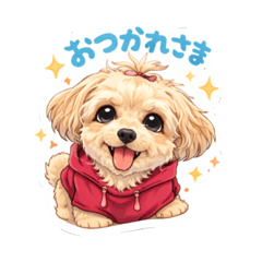 momo_20260105183837