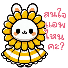 แม่ค้า ขายแอพพรีเมี่ยม ยินดีให้บริการ