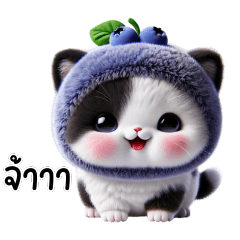 แมวสองสี น่ารักมาก : ใช้ได้ทุกวัน