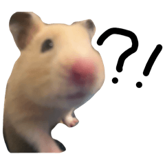 vabiliii_20260105170625