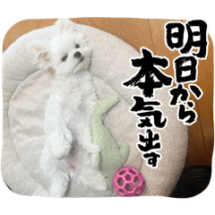 suzu_20260105170738