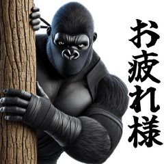 Gorilla x Ninja! Nin Nin! 3D Real