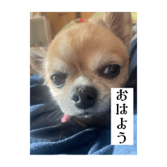 omom_20260105200844