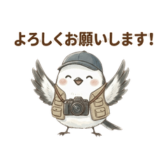 フォトグラファーシマエナガの毎日スタンプ