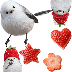 BIG! Stroberi dan Shima-enaga