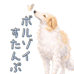 毎日つかえる！ボルゾイすたんぷ！