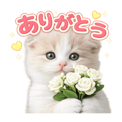 Cocorun_20260105213042