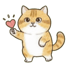 橘子皮：肥嘟嘟的愛