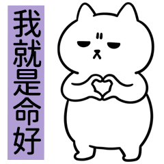 Miss A:Short legs cats - I'm just lucky.