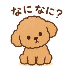 Fluffy Cute Toy Poodle Daily Stickers