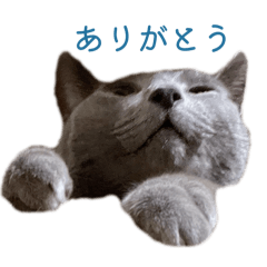 chihiro_20260105225326